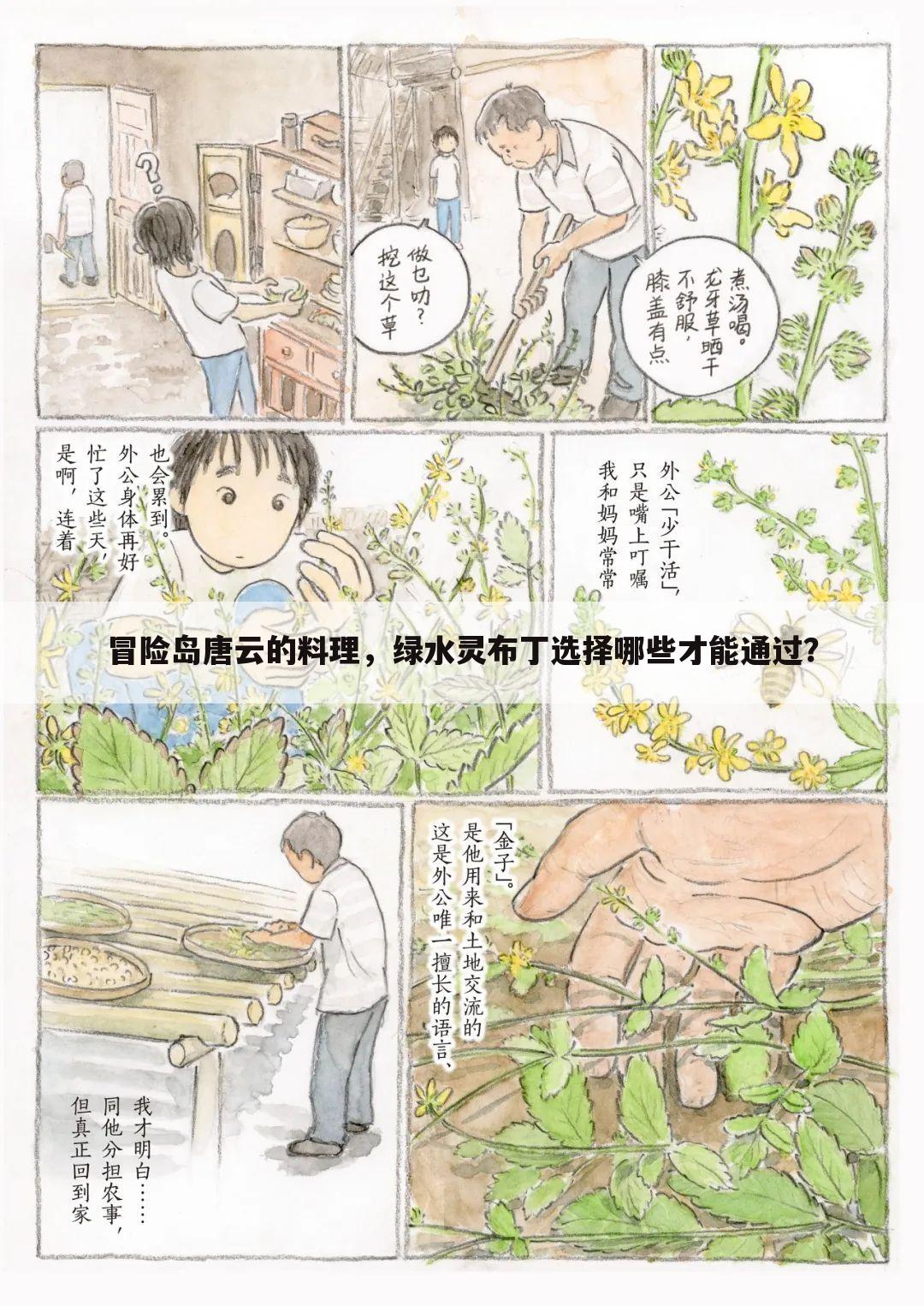 冒险岛唐云的料理，绿水灵布丁选择哪些才能通过？