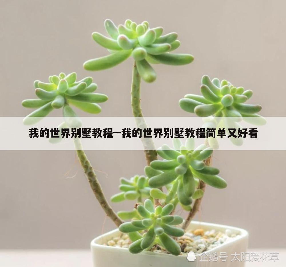 我的世界别墅教程--我的世界别墅教程简单又好看
