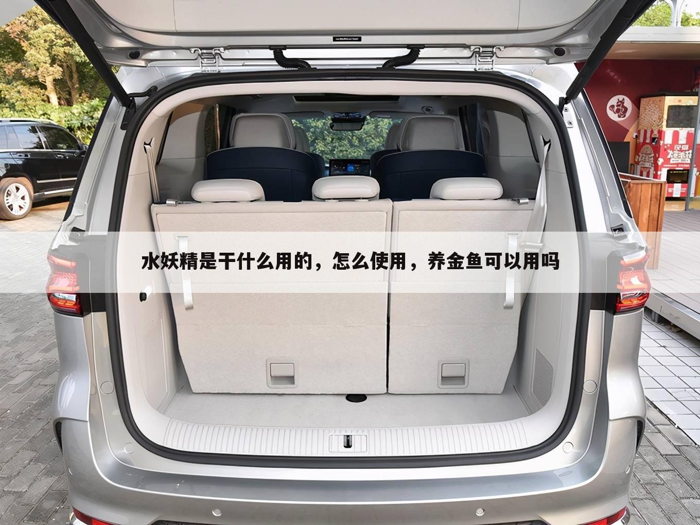 水妖精是干什么用的，怎么使用，养金鱼可以用吗