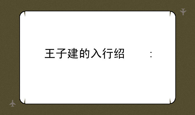 王子建的入行经历