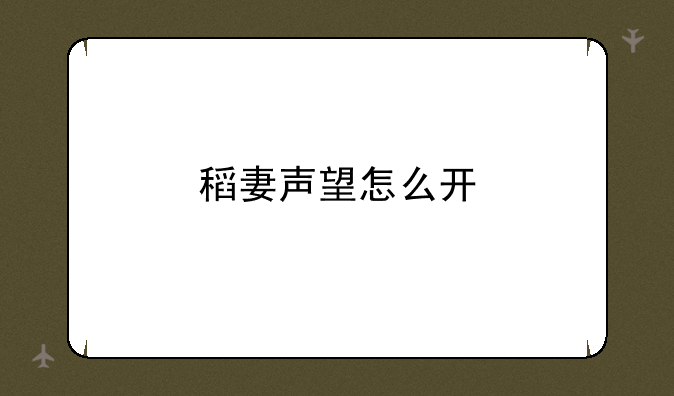稻妻声望怎么开