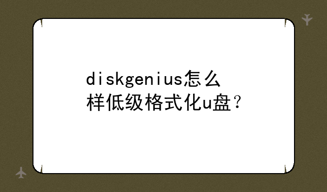 diskgenius怎么样低级格式化u盘？