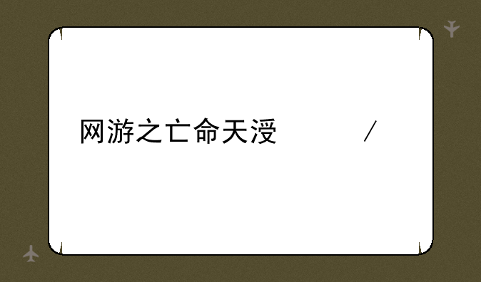 网游之亡命天涯下载
