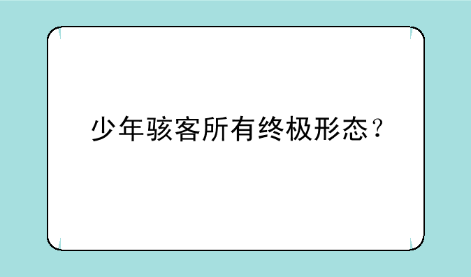 少年骇客所有终极形态？