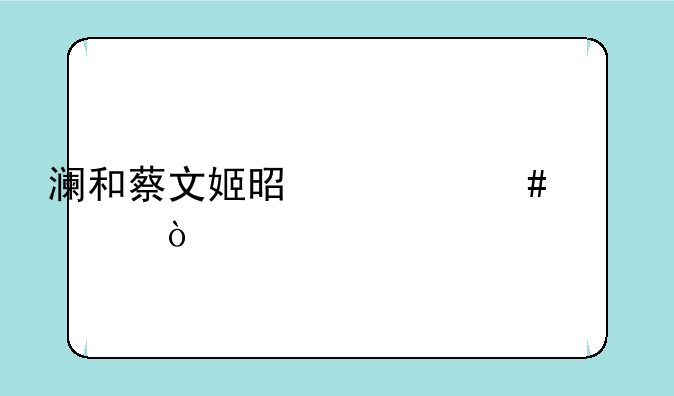 澜和蔡文姬是什么关系？
