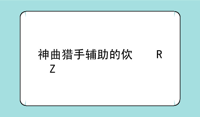 神曲猎手辅助的使用方法