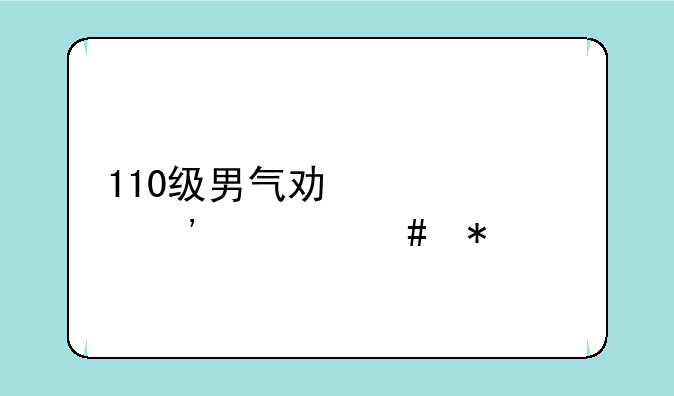 110级男气功上衣选什么技能