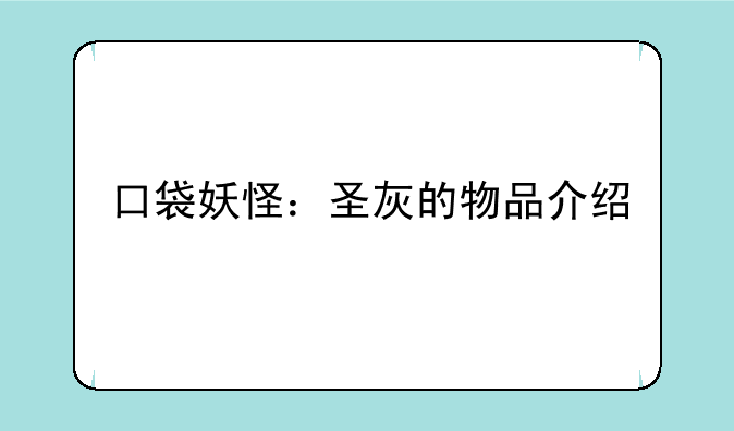口袋妖怪：圣灰的物品介绍