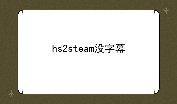hs2steam没字幕